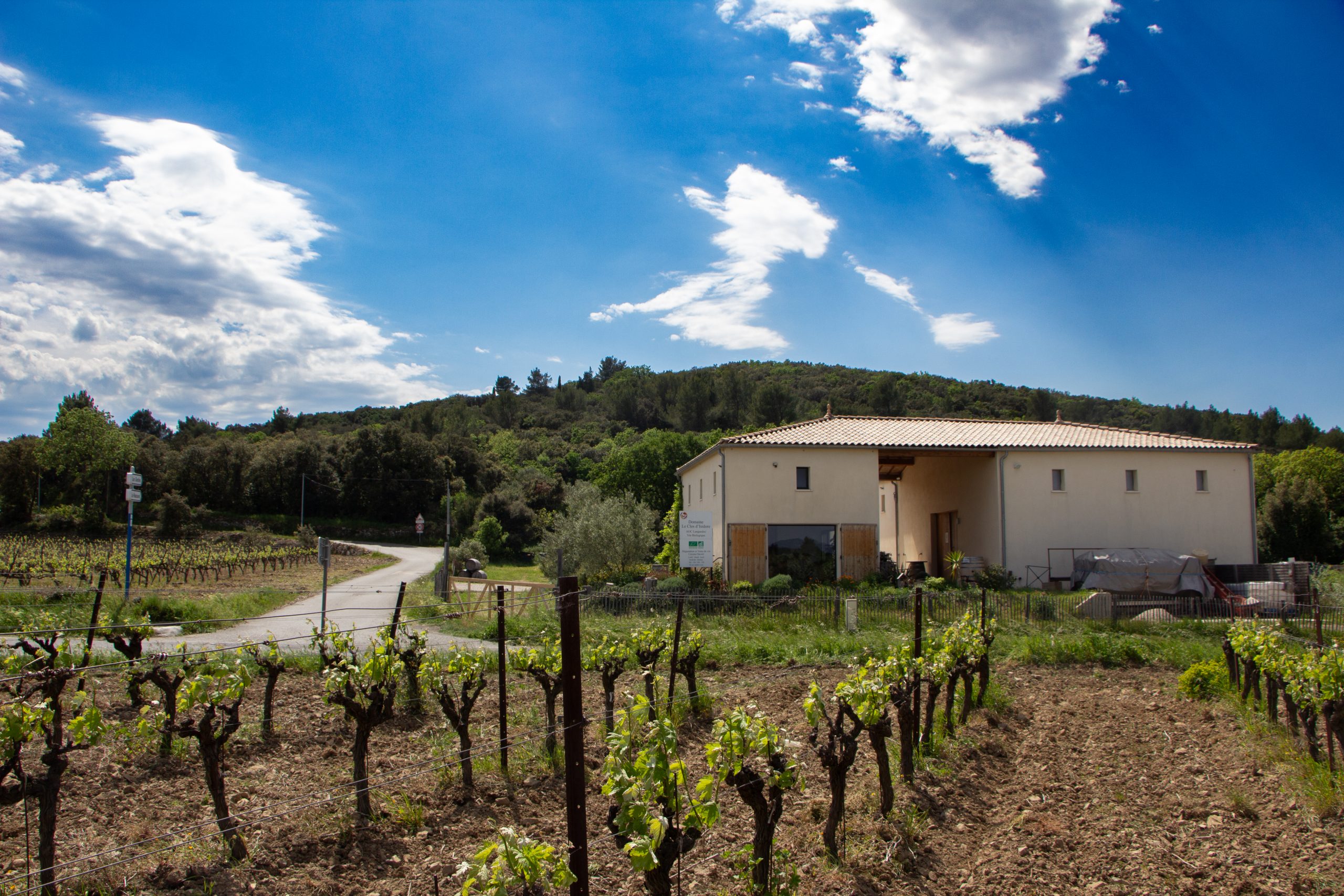 photo du domaine viticole du Clos d'Isidore qu'il sera possible de visiter