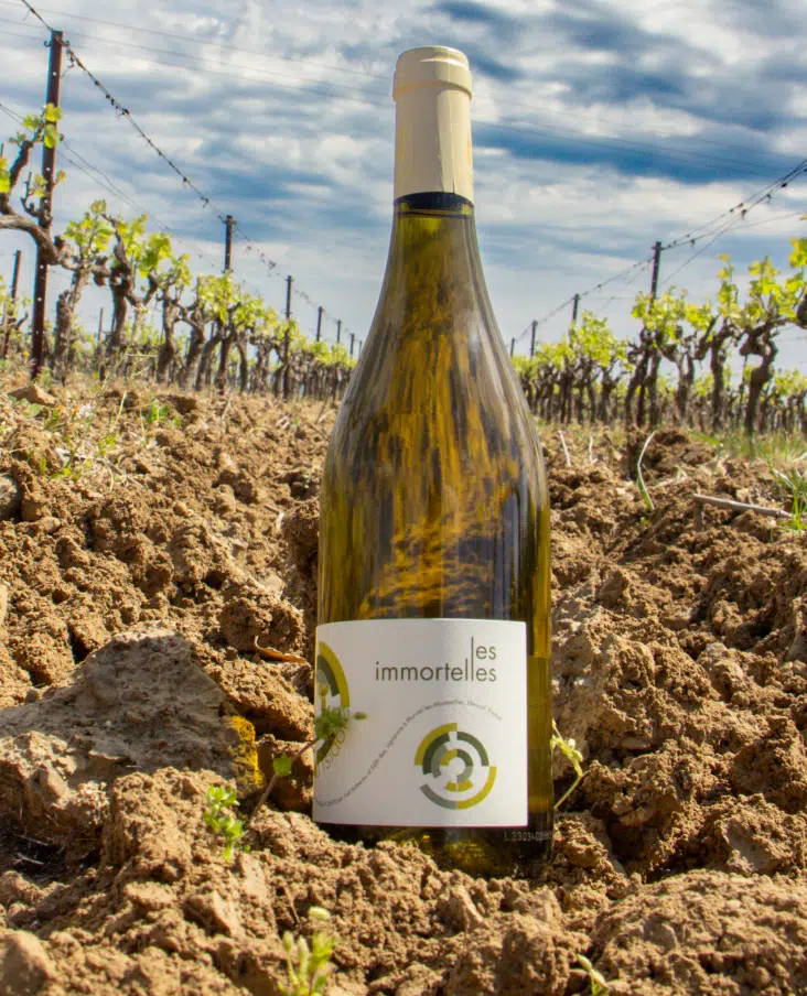 Photo de la bouteille "les immortelles"